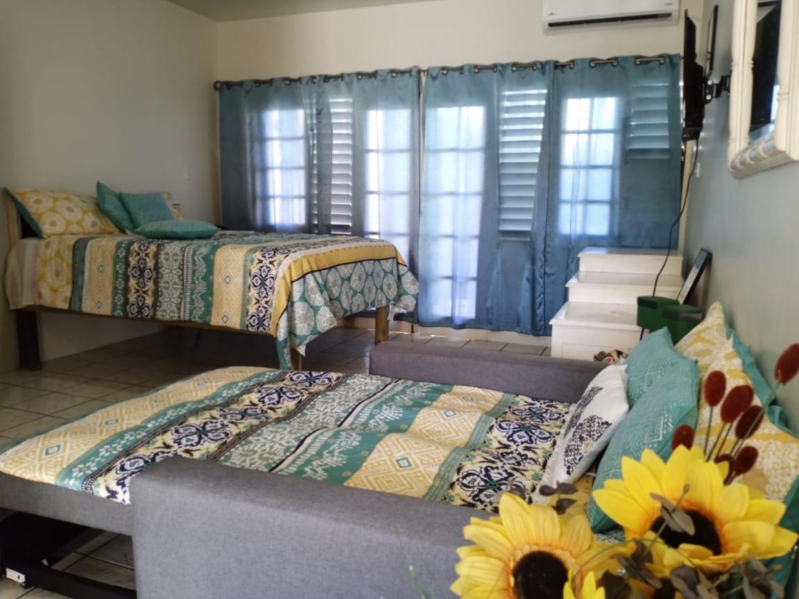 Ridgeway Guest House Montego Bay Exterior foto